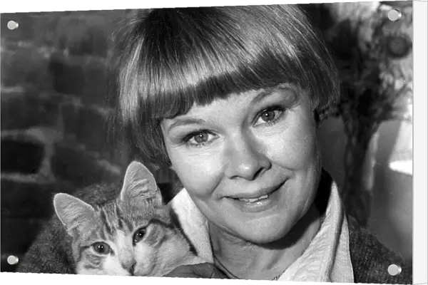 Judi Dench holding pet cat at home - 10 February 1981