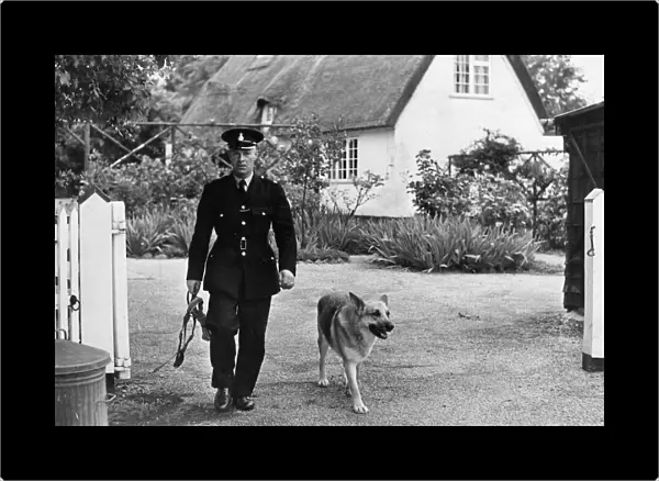 A police dog with handler in Cambridge, 1965