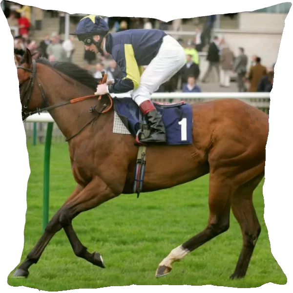 Arzaag Ridden By Martin Dwyer Craven Meeting, Newmarket Rowley Mile Course