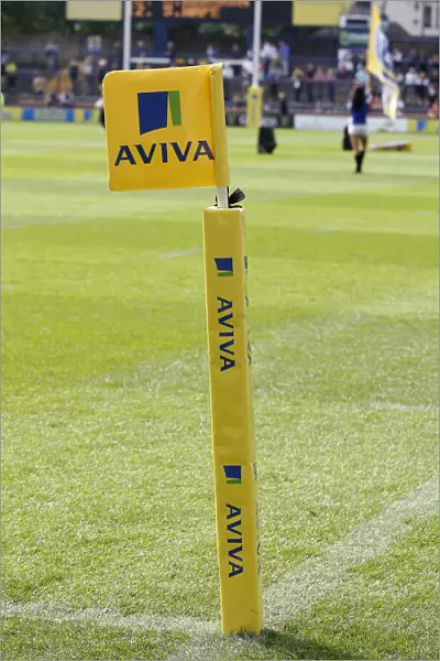 Aviva Premiership Flag Stick
