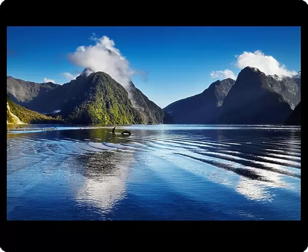 Fiord Milford Sound, South Island, New Zealand