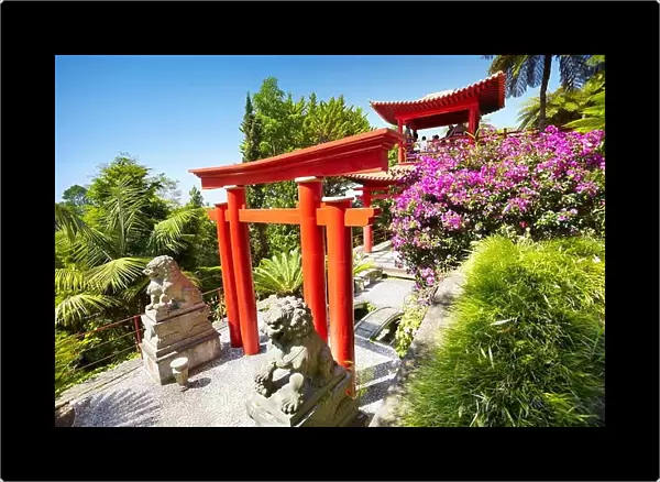 Japanese japan oriental tropical garden - Monte, Madeira Island, Portugal
