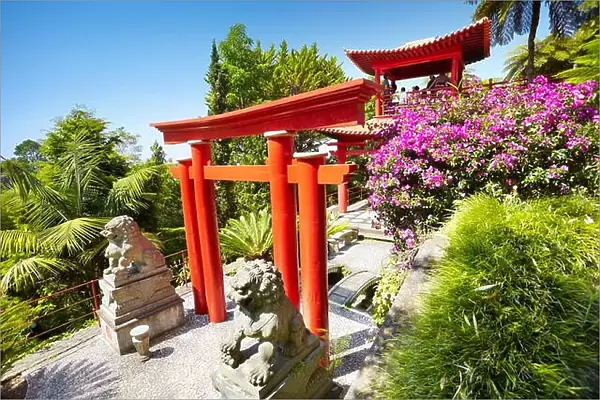 Japanese japan oriental tropical garden - Monte, Madeira Island, Portugal