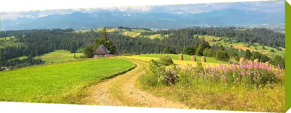 Country road, spring landscape, Podhale region, Poland