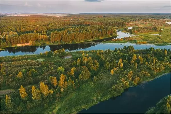 Aerial View Green Pine Forest And River Landscape In Sunny Summer Evening. Top View Of Beautiful European Nature From High Attitude In Summer Season