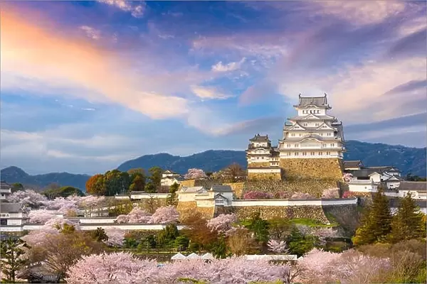 Himeji, Japan at Himeji Castle during spring cherry blossom season