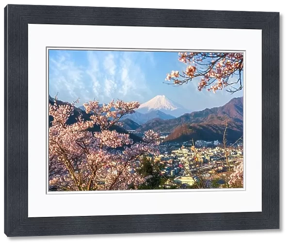Otsuki, Japan cityscape with Mt. Fuji in spring season with cherry blossoms