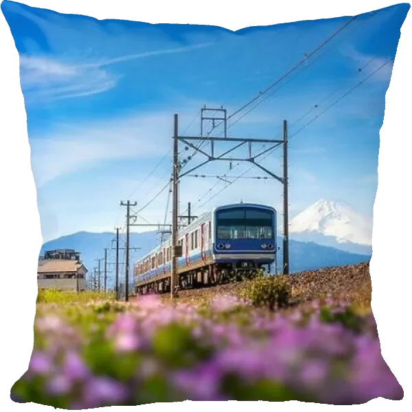 A local train of JR Izuhakone Tetsudo-Sunzu Line traveling through the countryside on a sunny winter day and Mt. Fuji in Mishima, Shizuoka, Japan