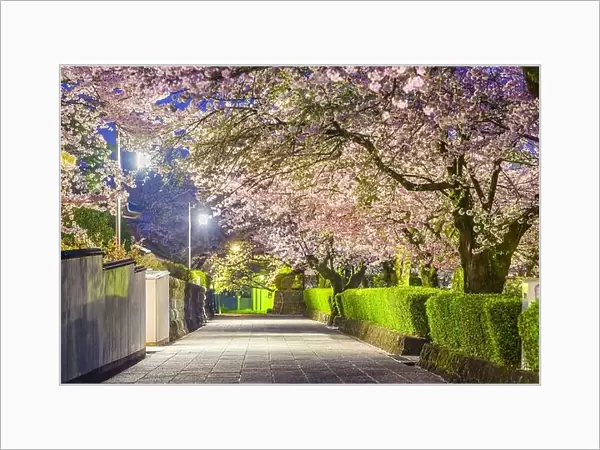 Shizuoka, Japan old town streets around Taiseki-ji Temple in spring season