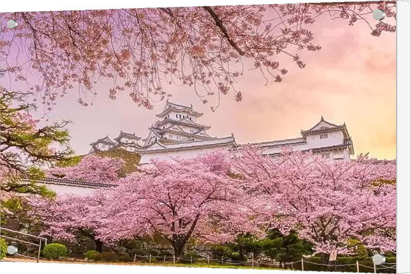 Himeji, Japan at Himeji Castle in spring with cherry blossoms in full bloom
