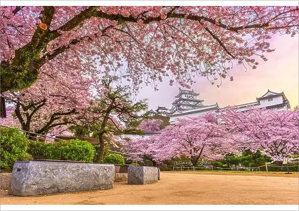 Himeji, Japan at Himeji Castle in spring with cherry blossoms in full bloom