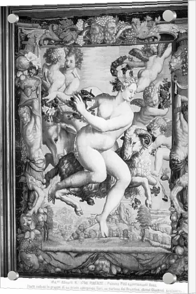 Female Allegorical Figure; tapestry in the Royal Apartments of the Pitti Palace in Florence