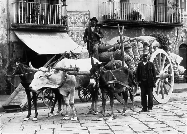 Two men leading a cart used for hauling material, in a street of Naples