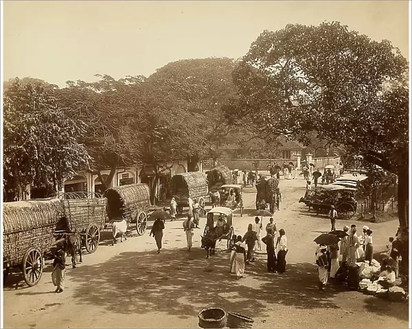 Indian road amongst the trees with carts and people