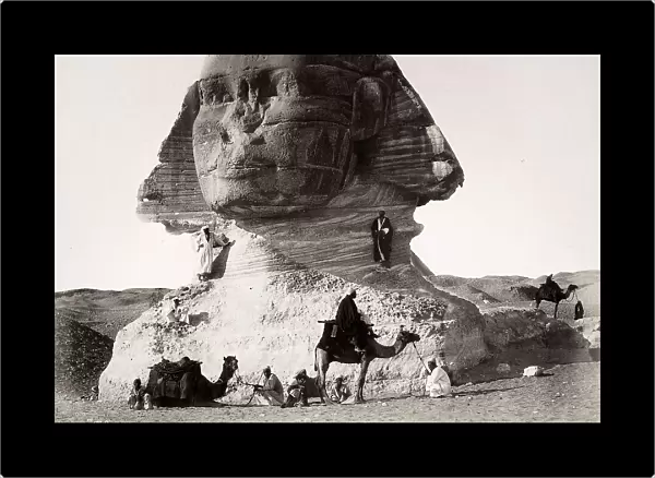 Men and camels around the Sphinx of Chefren, in Giza, Egypt