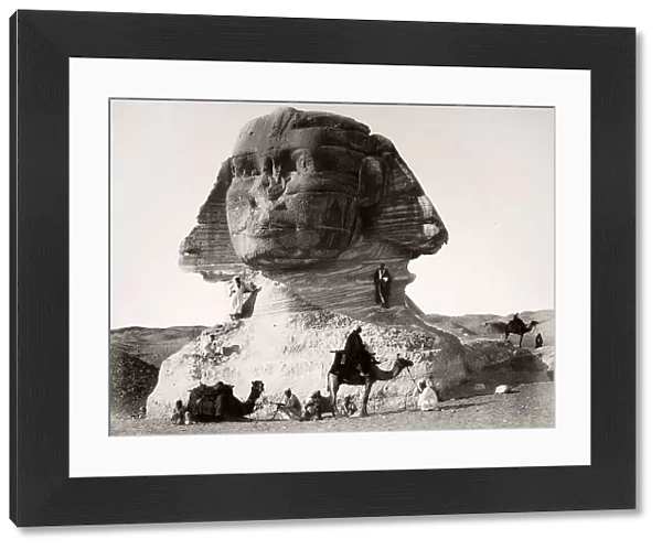 Men and camels around the Sphinx of Chefren, in Giza, Egypt