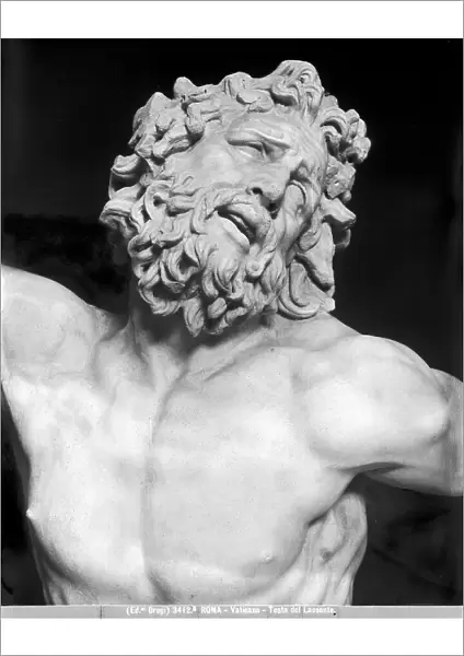 Laocoon, detail, marble, Athanodorus, Agesander and Polydorus of Rhodes, Museo Pio Clementino, Vatican Museums, Vatican City