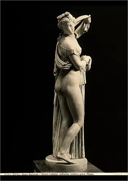 Statue of Venus Callipige, from Nero's Domus Aurea, in the National Archaeological Museum of Naples