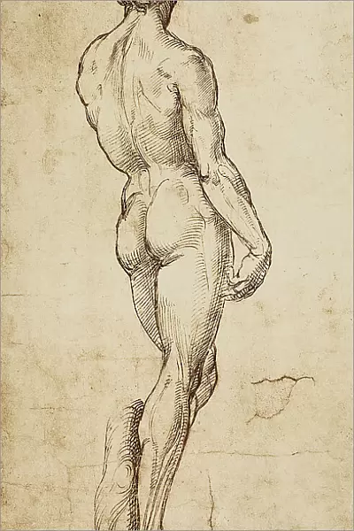 Study of a male figure seen from the back; drawing by Raphael. British Museum, London