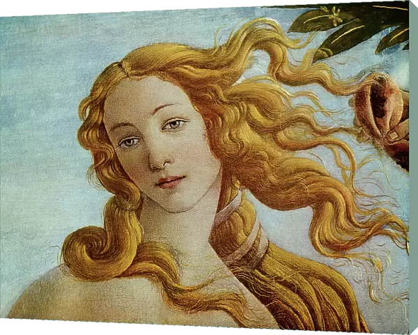 Birth of Venus, detail of the face of the goddess, work of Sandro Botticelli. Uffizi Gallery, Florence