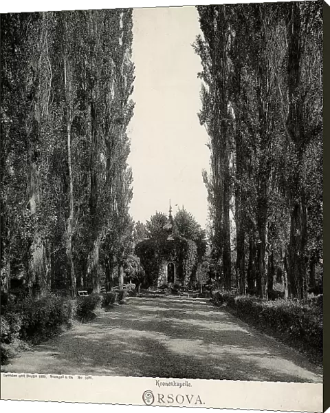 Tree-lined avenue with the Chapel of the Crown in Orsova, Rumania