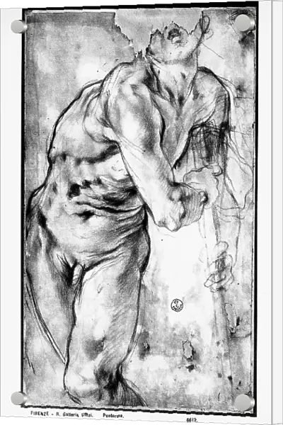 Nude man with his body turned to the right. Drawing preserved in the Room of Drawings and Prints in the Gallery of the Uffizi