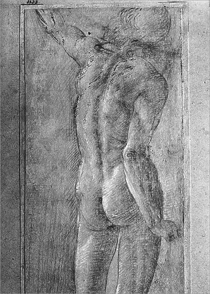 Male nude, back view. Drawing by Sandro Botticelli, in the Gabinetto dei Disegni e delle Stampe, at the Uffizi Gallery in Florence