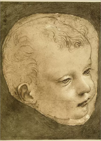 Study of the face of the Young St. John of the Virgin of the Rocks, silver point and pen drawing with pouncing by Leonardo da Vinci and preserved in the Vallardi Collection in the Room of Prints in the Louvre Museum in Paris