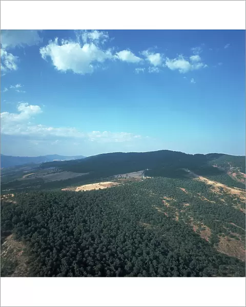Lucania landscape