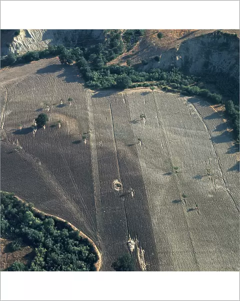 Crops Basilicata. Date of Photograph:1967