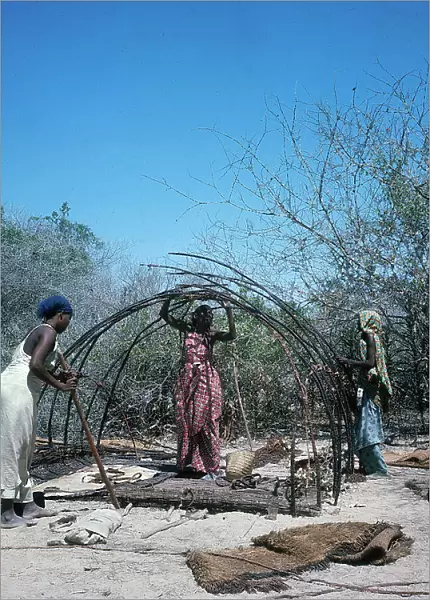 Lower Juba. Women during the preparation of a thatched hut 'mundul'