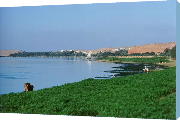 Upper Egypt farmers along the roads in the countryside, in villages along the banks of the Nile between Aswan and the Delta