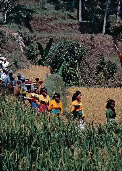 Sunda Islands. Island of Bali. The rice crop propitiatory procession in Bali