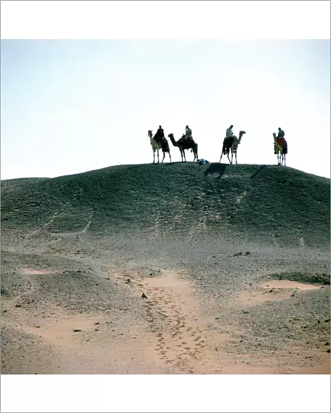 Sahara: come near of the camel in the immensity of the desert, from the top of a rock