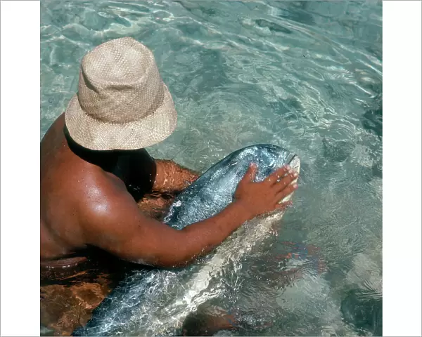 Society Islands. Leeward Islands. Bora Bora. Fishing a 'Mai-Mai'