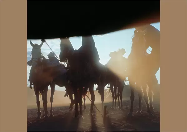 Sahara: the arrival of riders at sunset, seen from a Bedouin tent in the oasis of Fayoum