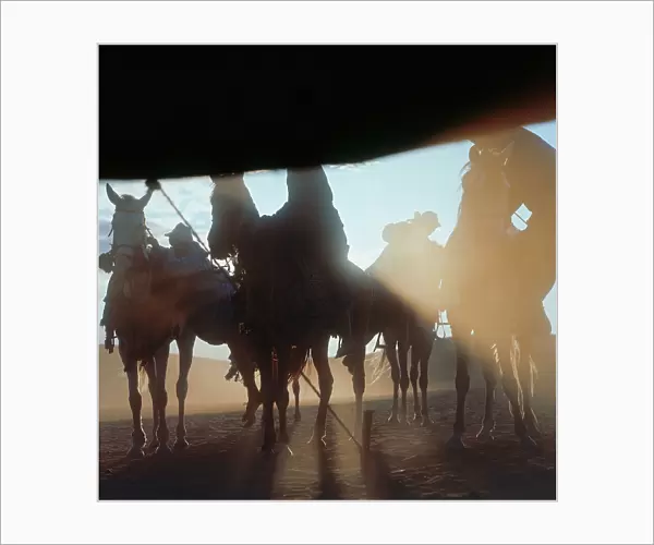 Sahara: the arrival of riders at sunset, seen from a Bedouin tent in the oasis of Fayoum
