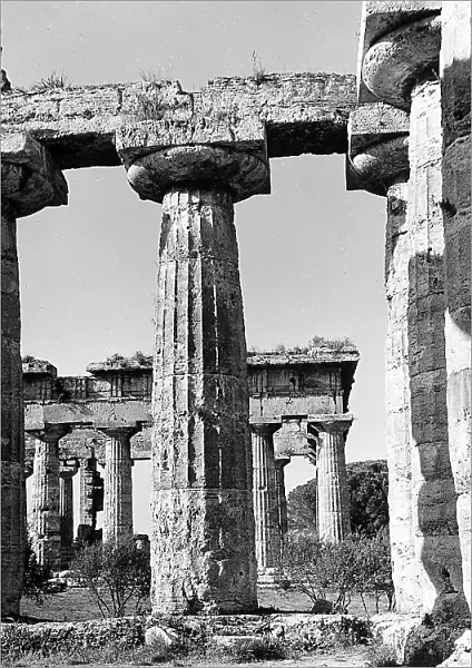 Columns of the Basilica of Paestum. The Temple of Neptune is in the background