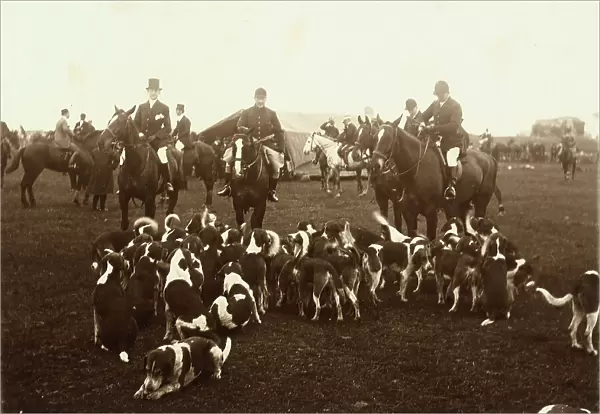 Group of dogs and people on horseback during a fox hunt in the Roman countryside