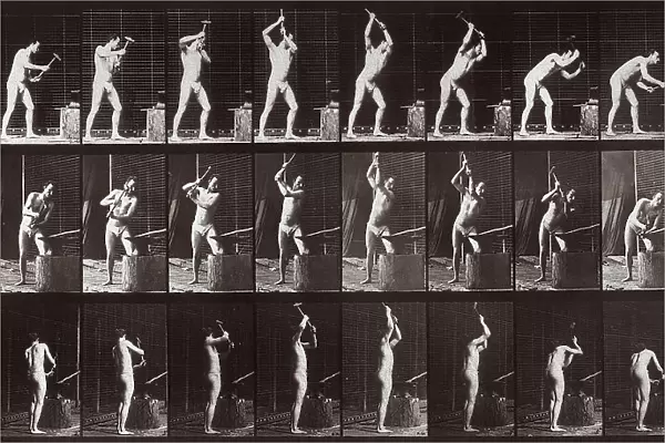 'Animal Locomotion' (plate 378): sequence with a half-naked man with an anvil and hammer