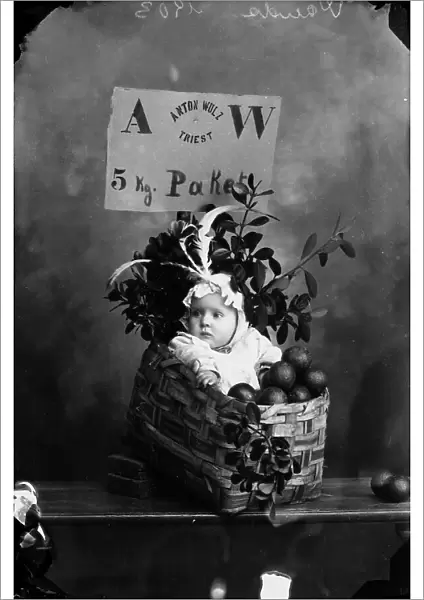 The small Wanda, posing with a fruit basket for an advertisement