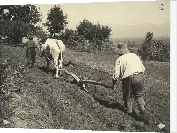 Two farmers plow a field