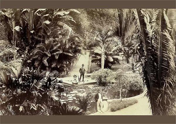 View of 'Castleton Garden', Kingston, Jamaica