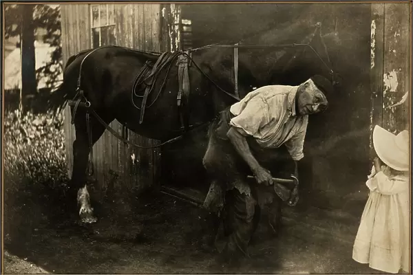 Portrait of a man while he's shoeing a horse