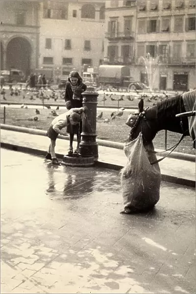 'In the piazza, trying and trying again'. Segment of Santa Maria Novella Square: two children are drinking from the fountain, nearby there is a horse eating from a feed bag. In the background one can see the palaces and the loggia of the old San Paolo hospital