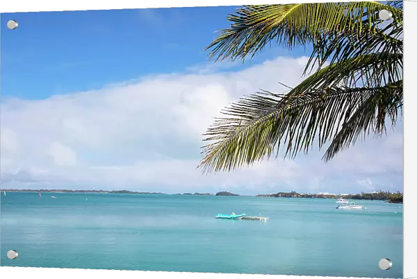 Bermuda, South Shore, View of boats in cerulean ocean, and palm tree in the foreground