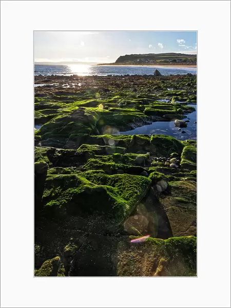 UK, Scotland, Balintore, Beach landscape