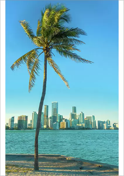USA, Florida, Miami, Buildings overlooking Biscayne Bay