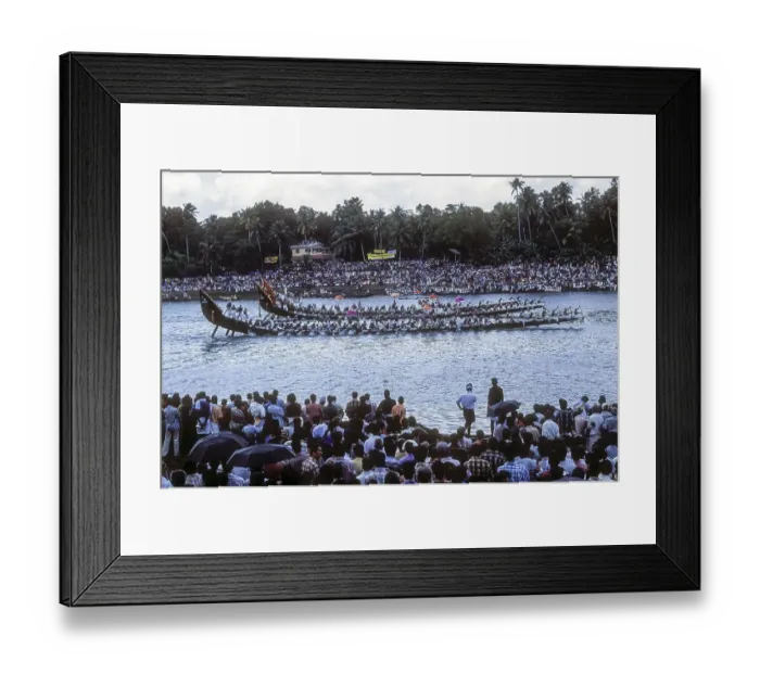 Framed Print : Aranmula Vallamkali Print, Snake Boat Racing on Pampa River Framed Print : Aranmula Vallamkali Print, Snake Boat Racing on Pampa River