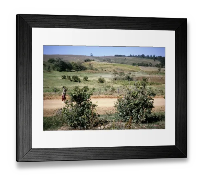Framed Print : South America Print: Tourist in Nature, Fazenda Sant Anna, 1962 Framed Print : South America Print: Tourist in Nature, Fazenda Sant Anna, 1962